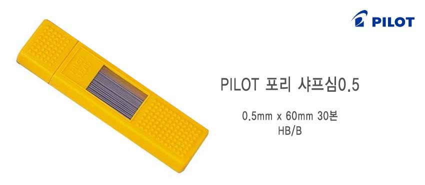 pilot05s.jpg