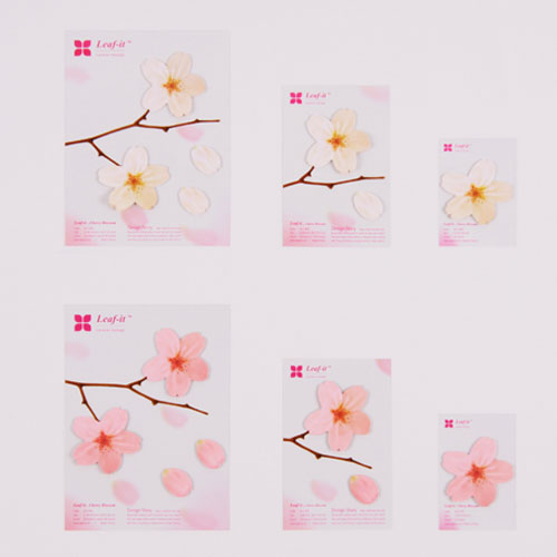 []ƼŰ(M)/޸