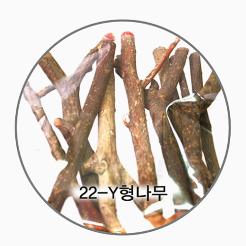 []õ 22-Y/
