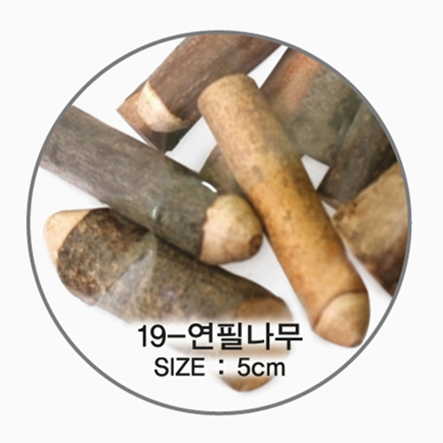 []õ 19-ʳ/